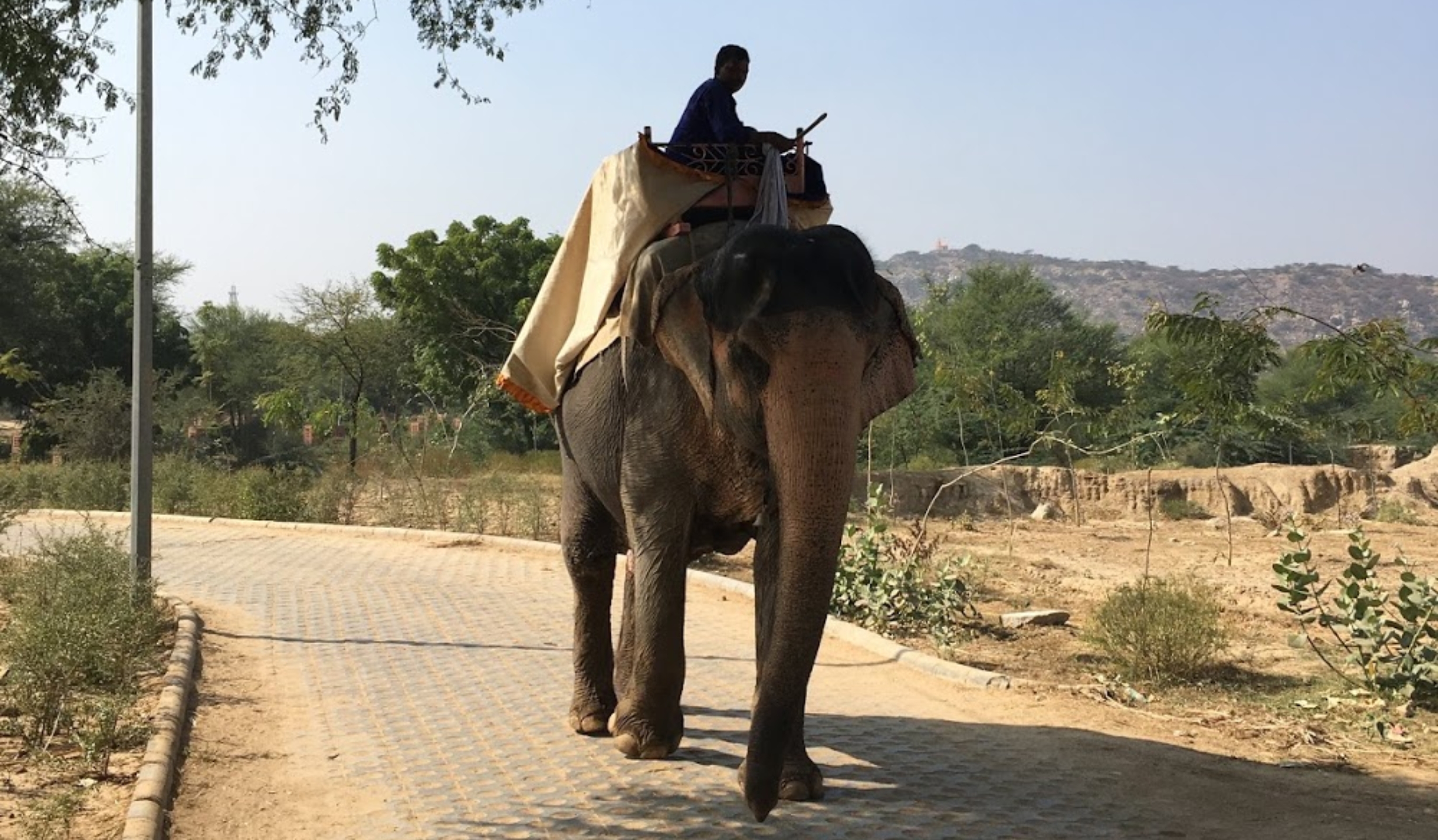 Brahma Temple Pushkar